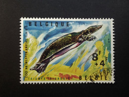 Belgie Belgique - 1965 - OPB/COB N° 1348 ( 1 Value ) - Zoo Antwerpen - Tortue Trionyx Du Nil  - Obl.  Antwerpen - Usados