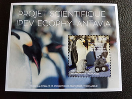 Fsat 2022 Taaf Antarctic Bird Aves Oiseaux MANCHOTS ROBOT Ipev Ecophy Antavia Ms1vv Mnh - Ongebruikt
