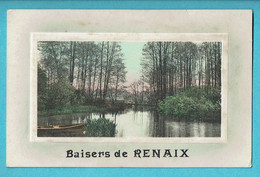 * Ronse - Renaix (Oost Vlaanderen) * (Serie 114) Baisers De Renaix, Fantaisie, étang, Parc, Park, Old, Rare, Vijver - Renaix - Ronse