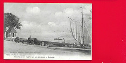 Delcampe - PAUILLAC Le Bureau Des Pilotes (Reservat) Gironde (33) - Pauillac