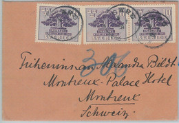 77634 - SWEDEN - POSTAL HISTORY -   COVER  To SWITZERLAND - Cartes-maximum (CM)