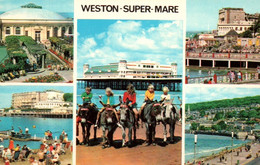 CPM - WESTON-SUPER-MARE - Donkey Riding / Multivues ... (ânes Montés) - Weston-Super-Mare