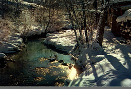 IMAGE DE NOS MONTAGNES EN HIVER JEUX D'OMBRE ET DE LUMIERE SUR LES BORDS DU TORRENT - Contre La Lumière