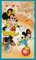 Carte Anniversaire Disney Gaufrée Carnet à Disque - Autres & Non Classés