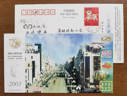 Goat Industry,rice Industry,street Bicycle Cycling,bike,China 2003 Longjiang County Advertising Pre-stamped Card - Wielrennen