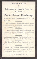 Faire Part De Déces Marie Thérèse Heuchamps Décédée à Couillet En 1910 - 7x11cm - Avvisi Di Necrologio