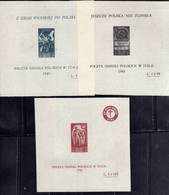 CORPO POLACCO POLISH BODY 1946 SOCCORSO DI GUERRA SERIE FOGLIETTI SET SHEETS NUOVI UNUSED - 1946-47 Corpo Polacco