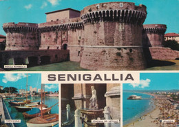 Senigallia - 18923 - Formato Grande Viaggiata – FE170 - Senigallia