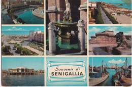 Senigallia - 18925 - Formato Grande Viaggiata – FE170 - Senigallia