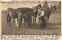 Chevals, 1906 - Pferde