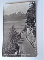 D190309  Switzerland Suisse   Gersau - Seepromenade Mit Pilatus Ca 1950 - Gersau