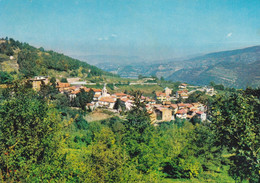 (V521) - CALDIROLA (Fabbrica Curone, Alessandria) - Panorama - Alessandria