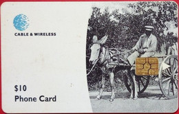 Dominica Cable And  Wireless $10 Man Riding In A Donkey Cart In Early 1900's - Dominique