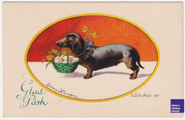 Jenny Nyström Pâques Easter - CPA De Suède 1930 Chien Basset Teckel Dachshund Oeufs Swedish Postcard Holiday Påsk A71-60 - Pascua