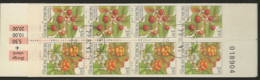 1995 USED Norway, Booklet Mi 1174-75 - Gebraucht