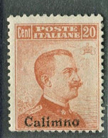 EGEO CALINO 1917  20 C. SASSONE N. 9 ** MNH - Aegean (Calino)