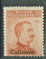 EGEO CALINO 1917  20 C. SASSONE N. 9 ** MNH - Ägäis (Calino)