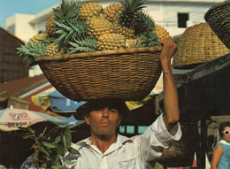 Ile De La Réunion,ile Française,outre Mer,archipel Des Mascareignes,océan Indien,PRODUCTEUR,COMMERCANT - Saint Pierre