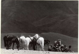 MONGOLIE  THE HERDSMEN - Mongolia