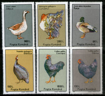 Romania 1995 Poultry Birds Fowl Cock Sc 4025-30 MNH # 1051 - Coucous, Touracos