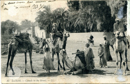 LUXOR 1910 - Old Circulated PC - Camels On The Street - Luxor
