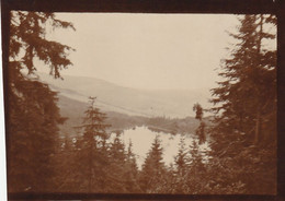 Foto 1895 In Der Nähe Von Bodenmais Und Eisenstein (Bohmerwald) - Arbersee (A239) - Bodenmais