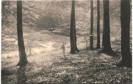 CPA Carte Postale- Belgique-Bruxelles Forêt De Soignes Etang De L'Ermite    VM49036 - Forêts, Parcs, Jardins