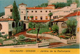 Carte Parfumée Parfum Molinard Grasse Jardins De La Parfumerie 6 Cm X 8,9 Cm Dos Blanc Superbe.Etat - Non Classés