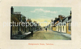 TARBOLTON MONTGOMERIE STREET OLD COLOUR POSTCARD SCOTLAND - Ayrshire