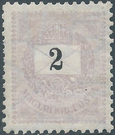 Hungary-MAGYAR,1898 -1899 Letter With Numbers ,2 (K) Violet,Perf 11½ ,Mint,Value:€80,00 - Ongebruikt