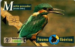 15286 - Spanien - Fauna Iberica , Martin Pescador - Sonstige & Ohne Zuordnung