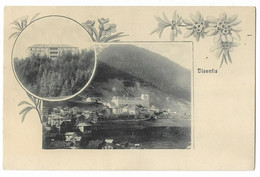 DISENTIS: 2-Bild-AK Mit Hotel Disentiserhof ~1900 - Disentis/Mustér