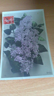 CP -  BEAU LILAS - Flowers