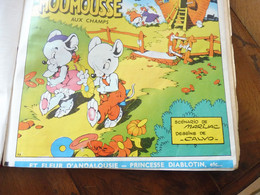 1964  Album N° 28 (10 Journaux)   Le Journal De NANO Et NANETTE , Dont CRICRI Et MOUMOUSSE Par Calvo;  Autres BD - Autres & Non Classés
