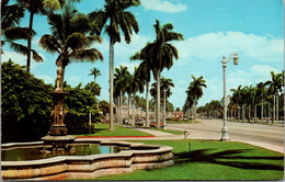 Florida Palm Beach Looking East On Royal Poinciana Way 1966 - Palm Beach