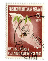 10328 Fed.of Malaya 1960 Scott # 96 Used OFFERS WELCOME! - Fédération De Malaya