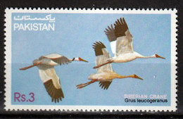 PAKISTAN - Faune, Oiseaux - Y&T N° 579 - MNH - Pakistan