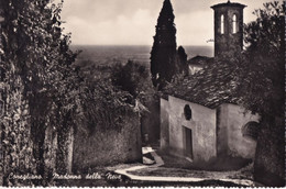 Conegliano - Madonna Della Neve - Formato Grande Non Viaggiata – FE170 - Treviso