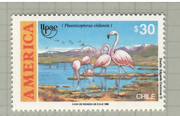 Chile 1990, Bird, Birds, Flamingo, 1v, MNH** - Flamants