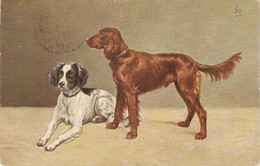 "Sporting Dogs" Tuck Oilette Postcard # 3433 - Tuck, Raphael