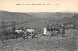 CPA 43 FRUGIERES LE PIN VALLEE DE LAVAUDEU - Sonstige & Ohne Zuordnung