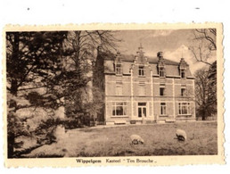 WIPPELGEM - Kasteel Ten Brouche - Niet Verzonden - Uitgave Huis Veys Kruidenier - Evergem