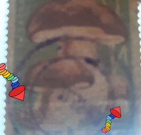 Errors Romania 1958 Mi 1729 Mushrooms Printed With Watermark  Horizontal Line  Used - Errors, Freaks & Oddities (EFO)