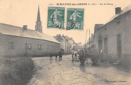 CPA 44 SAINT SULPICE DES LANDES BAS DU BOURG (cliché Pas Courant - Otros & Sin Clasificación