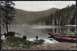 D-94252 Bayer. Eisenstein - Großer Arbersee Mit Seewand - Ruderboote - Bodenmais