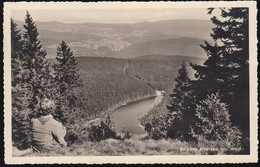 D-94252 Bayer. Eisenstein - Blick Zum  Arbersee - Nice Stamp (Oscar Miller) - Bodenmais