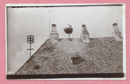 67  - LAUTERBURG - LAUTERBOURG - Carte Photo - Nid De Cigogne - Lauterbourg