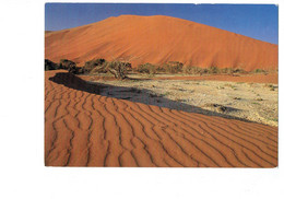 Cpm - Namibie - Dunes Sable - Namibia