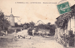 PANNECE - La Petite Haie - Moulins De Saint Jacques ( Theme : Moulin A Vent ) - Other Municipalities