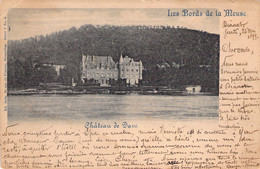 CPA Chateau De Dave - Les Bords De La Meuse - Oblitéré En 1899 - Namur